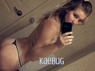 Kaebug