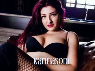 Karinasodi