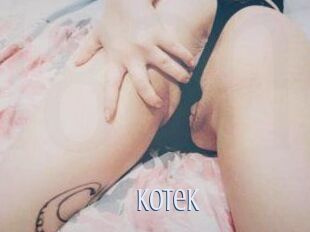 Kotek