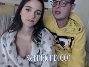 Karinaandigor