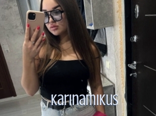 Karinamikus