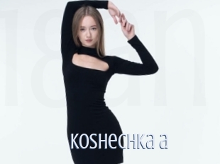 Koshechka_a