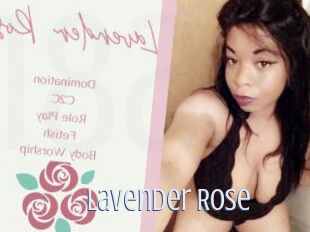 Lavender_Rose