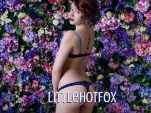 LittleHotFox