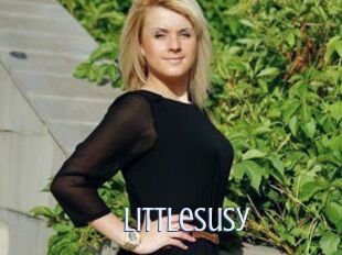 LittleSusy