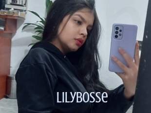 Lilybosse