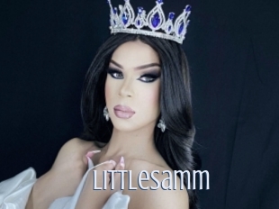 Littlesamm