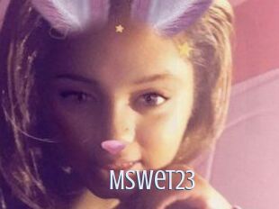 Mswet23