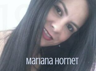 Mariana_hornet