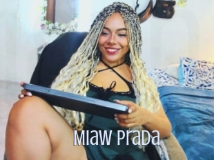 Miaw_prada