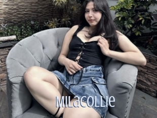 Milacollie