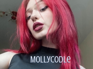 Mollycodle