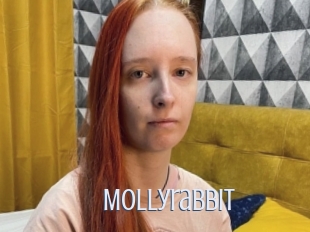 Mollyrabbit