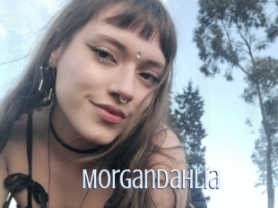 Morgandahlia