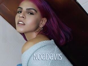 NoaDavis