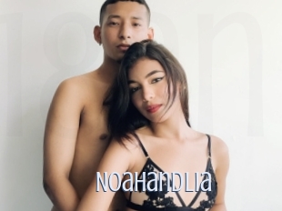 Noahandlia