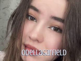Odellagarfield