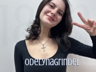 Odelynagrindel