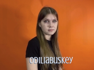 Odiliabuskey