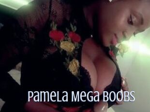 Pamela_Mega_Boobs