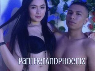 PantherAndPhoenix