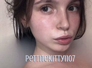 Pettitekitty1107