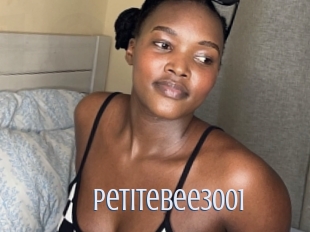 Petitebee3001