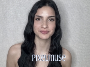 Pixelmuse