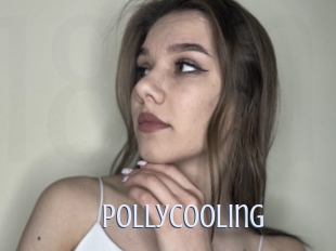 Pollycooling