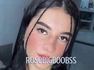 Rosebigboobss