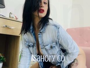 Sahory_co