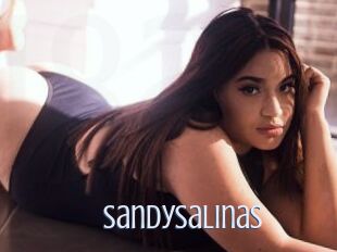 SandySalinas