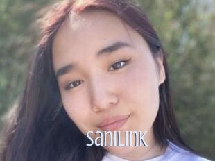 SaniLink