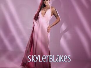 SkylerBlakes