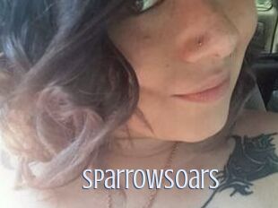 SparrowSoars