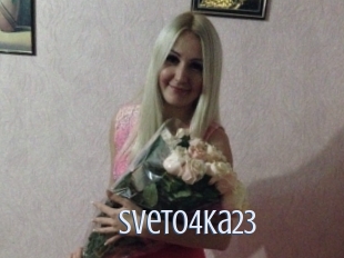 Sveto4ka23