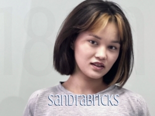 Sandrabricks