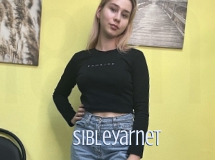 Sibleyarnet