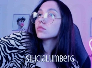 Silicialumberg