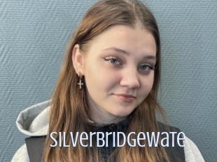 Silverbridgewate