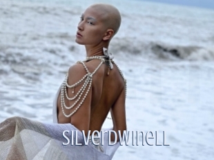 Silverdwinell