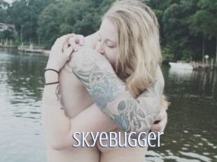 Skyebugger