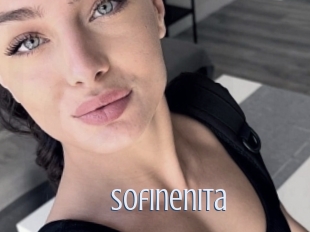 Sofinenita