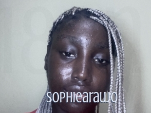 Sophiearaujo