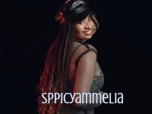 Sppicyammelia