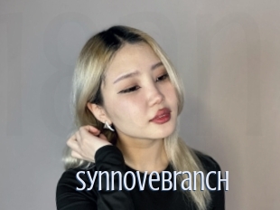 Synnovebranch