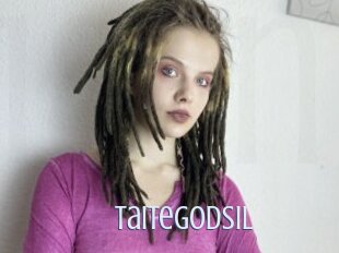 Taitegodsil