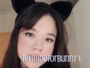 Terminatorbunny