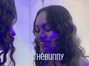 Thebunny