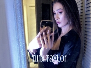 Tiny_taylor